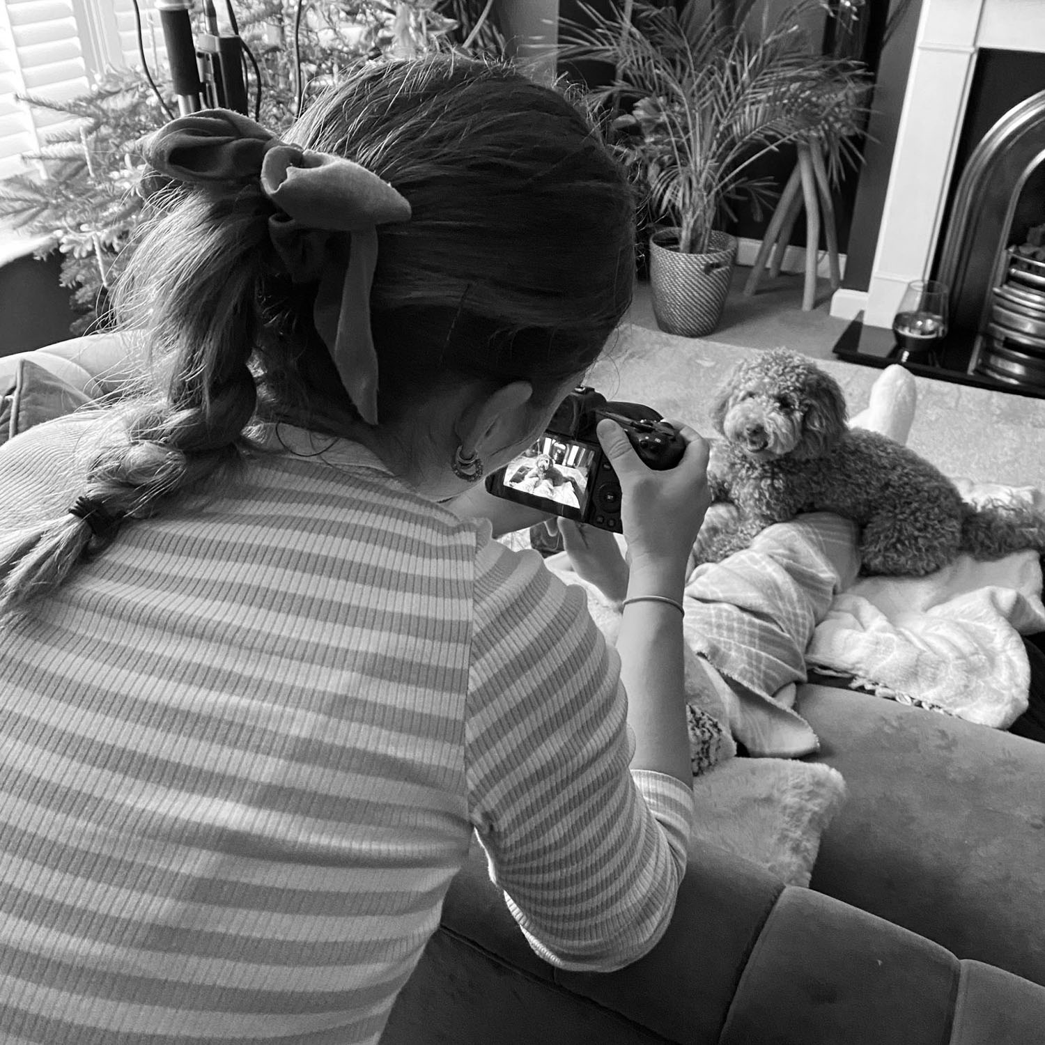 Behind-the-scenes photography of a photographer capturing a cockapoo during a lifestyle pet photoshoot indoors