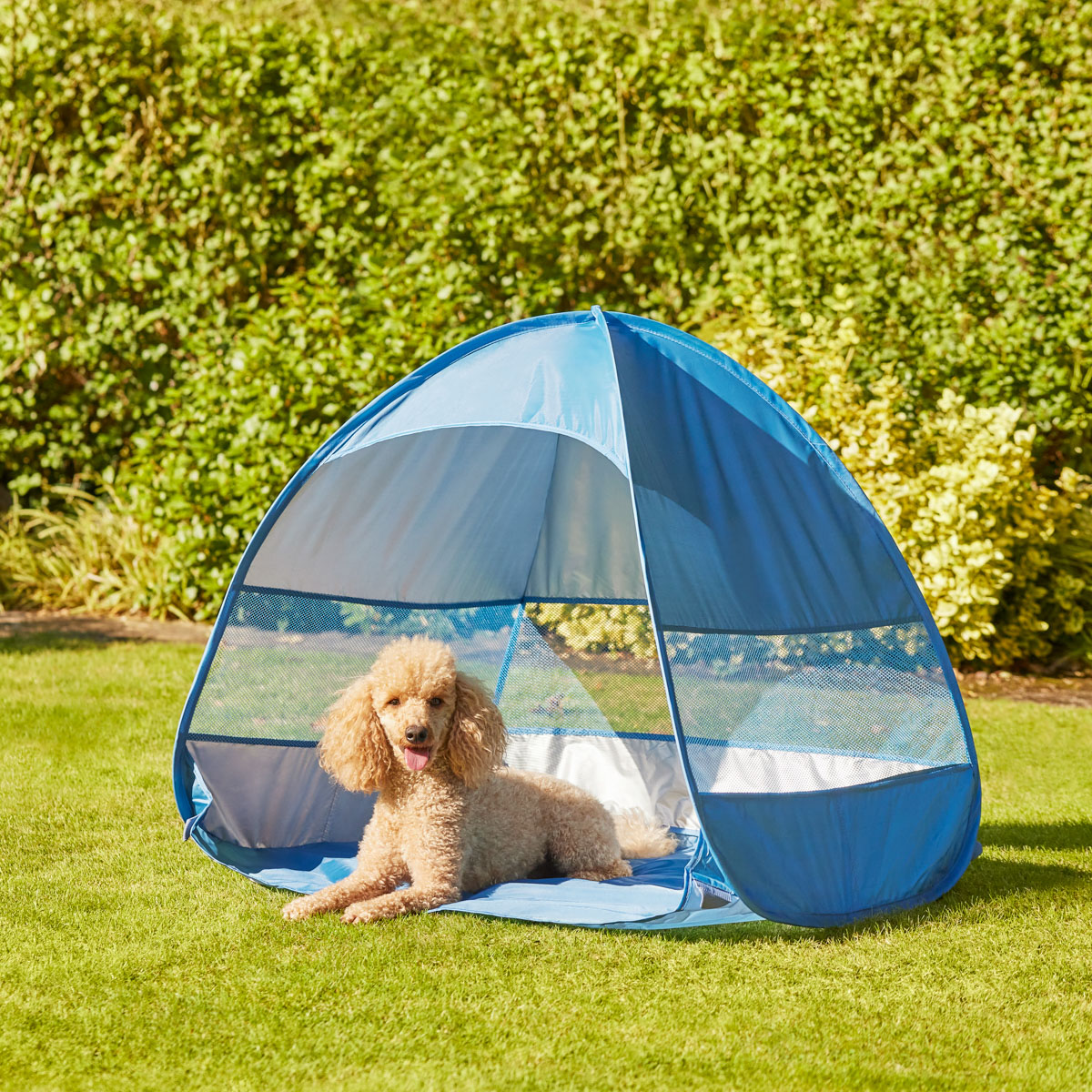 Outdoor pet lifestyle photography – garden setting Lifestyle photography of a Toy Poodle dog resting under an outdoor pet shelter in a garden setting for a commercial campaign