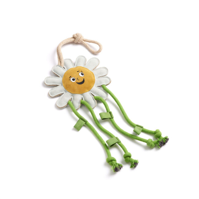 Studio product photography of a flower-shaped dog toy with rope legs for a commercial pet toy brand