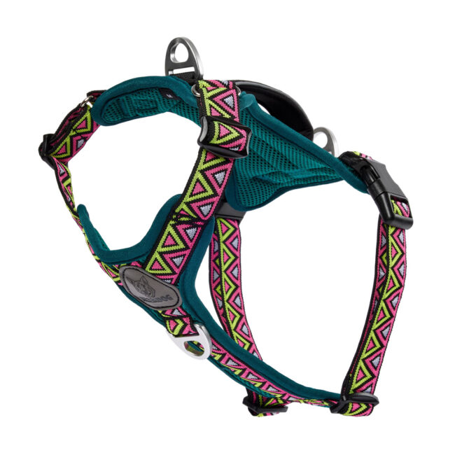 Studio product photography of a dog harness with patterned straps for a commercial pet accessories brand Neerdog