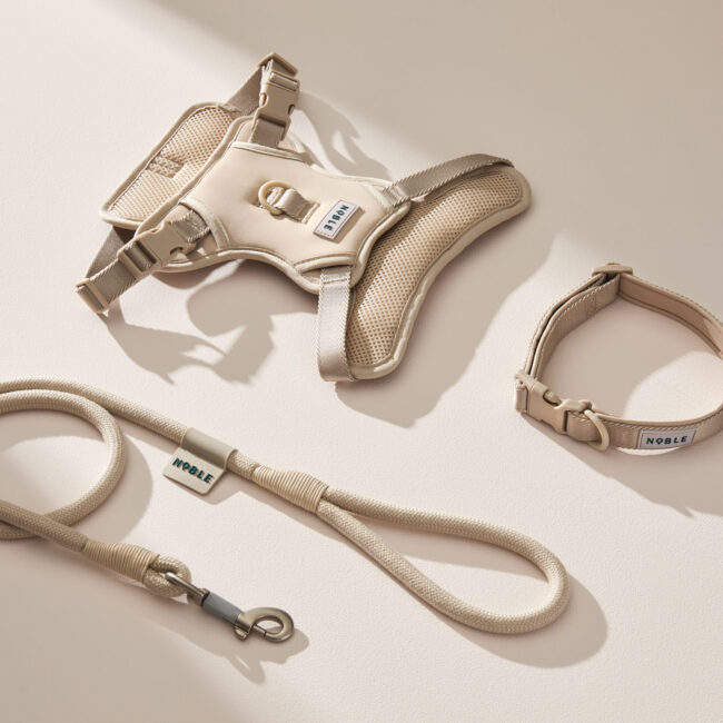 Beige dog harness and matching lead photographed on a neutral studio background