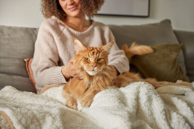 Lifestyle photography of a cat being cuddled on a sofa in a home environment for a commercial pet brand campaign