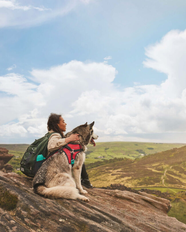 Outdoor lifestyle photography of a husky dog hiking with its owner for a commercial pet brand campaign