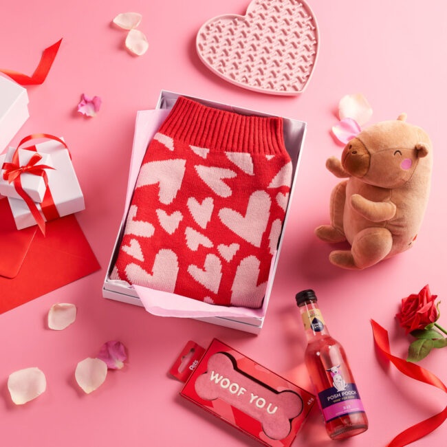 Studio photography of a Valentine’s themed pet gift set with treats and accessories for a commercial campaign