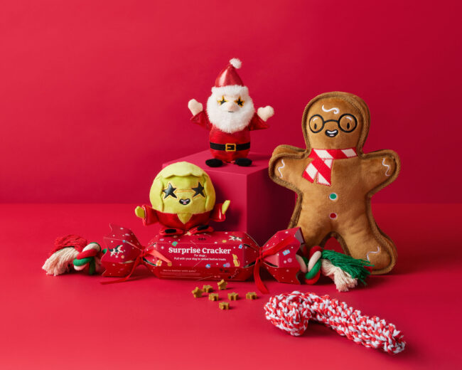 Studio photography of Christmas-themed pet products and treats arranged for a seasonal commercial campaign