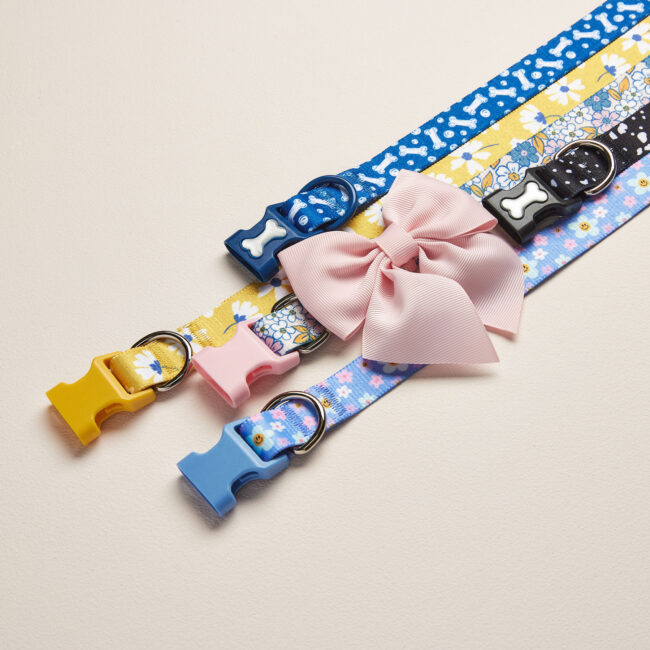 Studio flat lay photography of dog collars and bow accessories for a commercial pet accessories brand