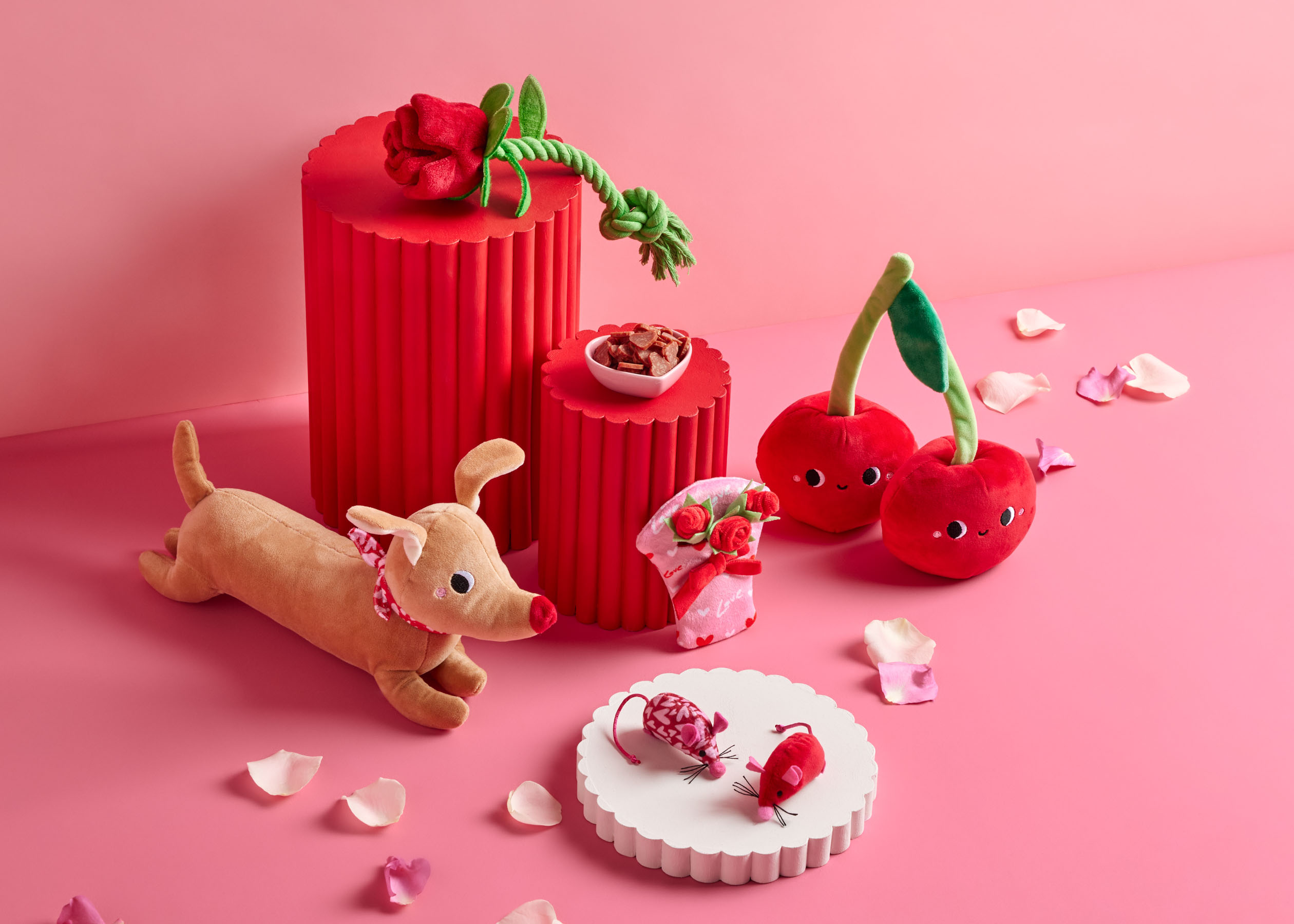 Studio product photography of Valentine’s themed pet treats and toys on a pink background for a commercial campaign