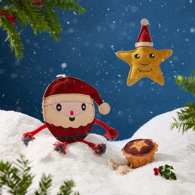 Studio photography of a Christmas-themed pet scene with festive props for a seasonal commercial campaign
