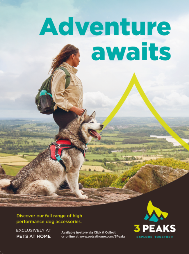 Person hiking with dog overlooking countryside landscape 3 peaks