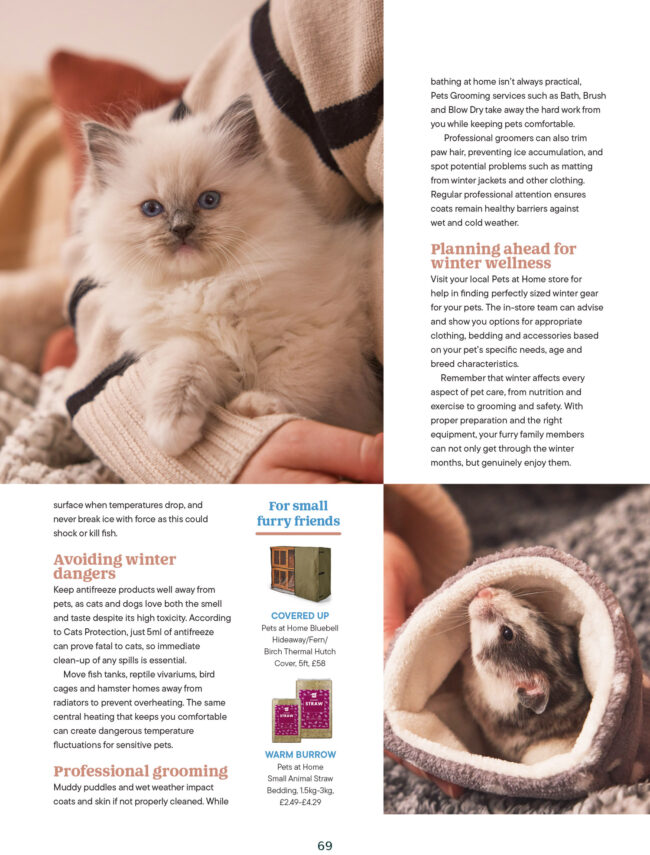 Editorial magazine layout featuring cat photography and pet care content