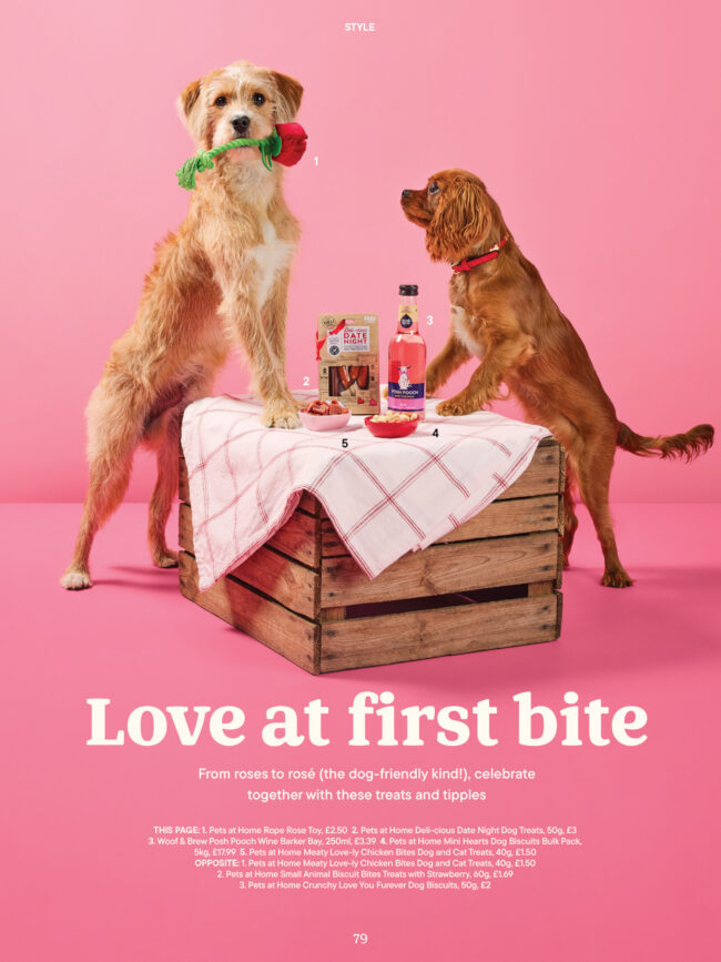 Two dogs standing at a table with treats in a pink studio setup