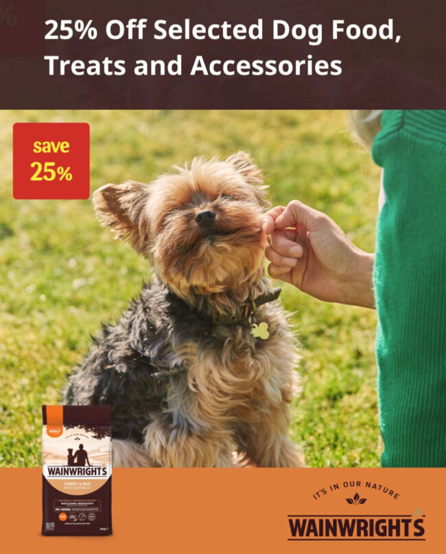 close up of a Yorkshire terrier being petted by its owner in a field